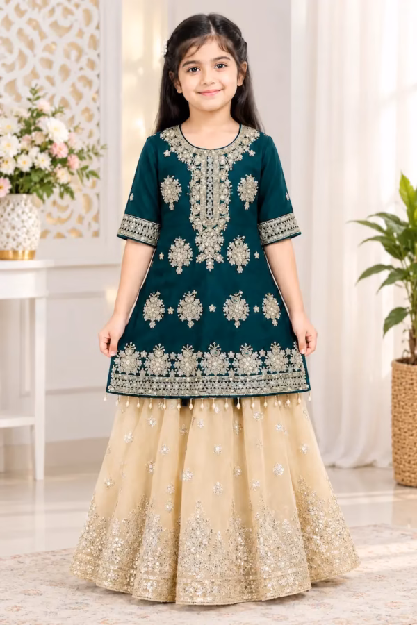 Kids sharara party dress